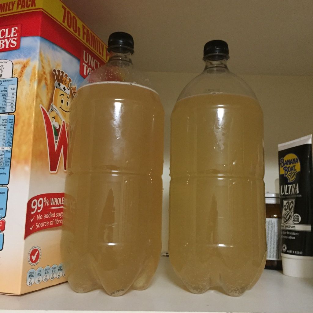 Mix in yeast and store in dark for 1 to 2 days to get fizzy.