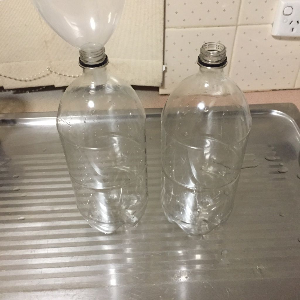 Divide hot concentrate between bottles and top with cold tap water.